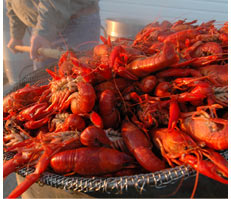 LA Crawfish