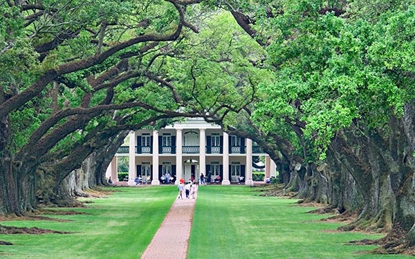 Oak Alley Plantation
